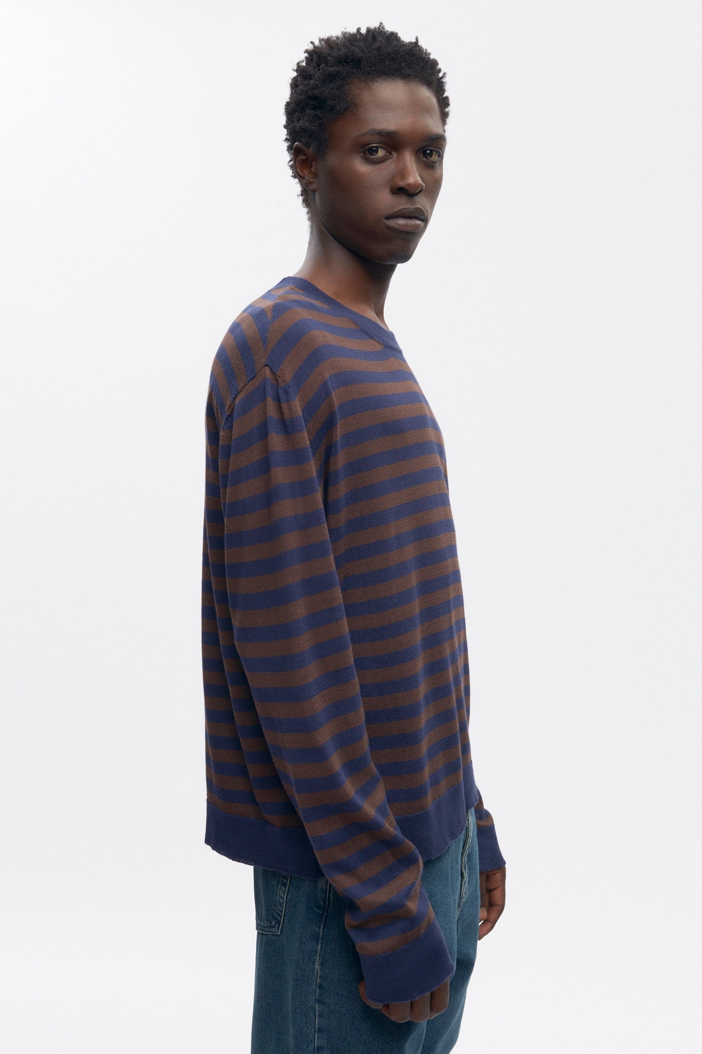 Men's Lightweight Crewneck Sweater in Coffee Bean/Midnight Stripe